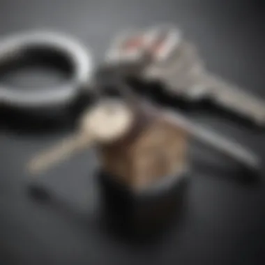 Elegant property keys on a luxurious keychain