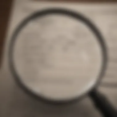 Accuracy Check Illustration of a magnifying glass examining tax records for accuracy