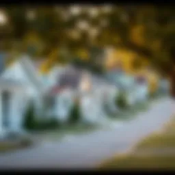 A serene neighborhood showcasing diverse homes