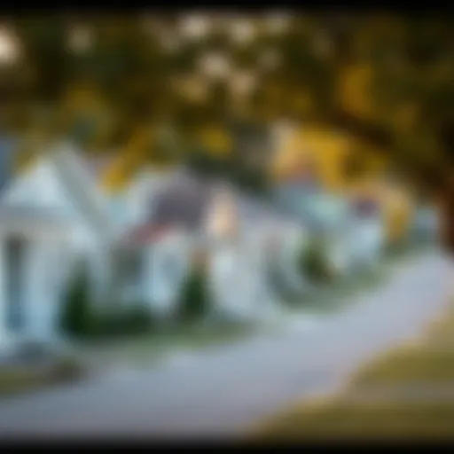 A serene neighborhood showcasing diverse homes
