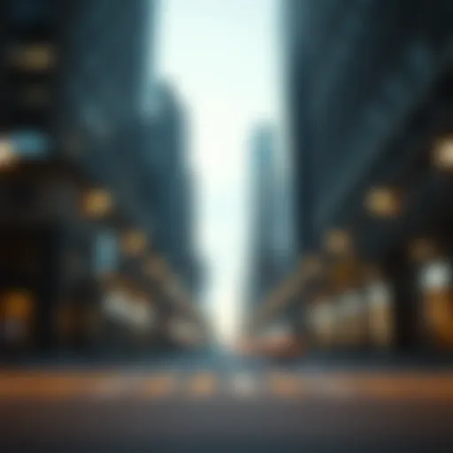 Exploring the Trust Fund Loophole: An In-depth Analysis Introduction