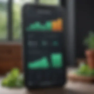 Benefits and Limitations of the Mint App Chart displaying the benefits and limitations of using the Mint app