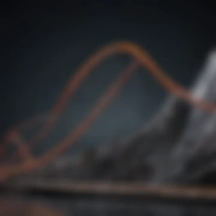 Abstract representation of premium fluctuations with a roller coaster graph