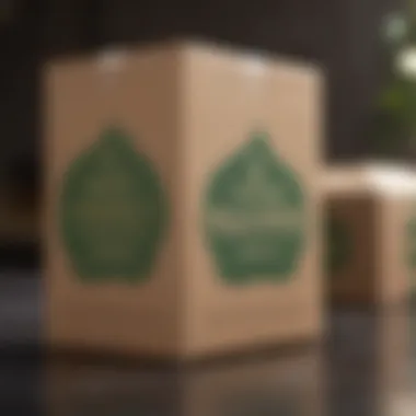 Eco-Friendly Packaging Solution