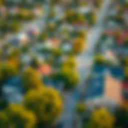 Aerial view of a vibrant community showcasing local amenities