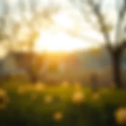 Understanding the WV Smart 529 Plan: A Comprehensive Guide Introduction
