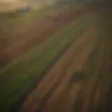 Aerial view of expansive farmland showcasing diverse crops