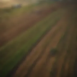 Aerial view of expansive farmland showcasing diverse crops